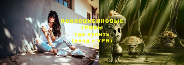 ГАЛЛЮЦИНОГЕННЫЕ ГРИБЫ Болхов
