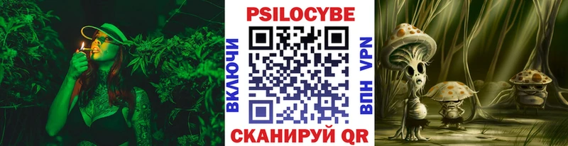 Псилоцибиновые грибы Cubensis  KRAKEN как зайти  Боровск 